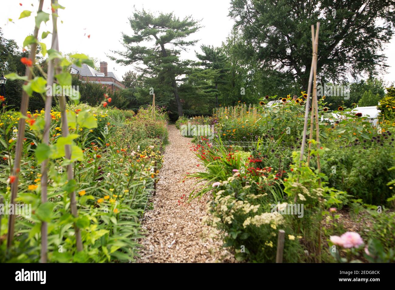 The cutting garden at Hillwood, the estate of Marjorie Merriweather Post in Washington, DC, USA. This garden provided fresh flowers for the house. Stock Photo