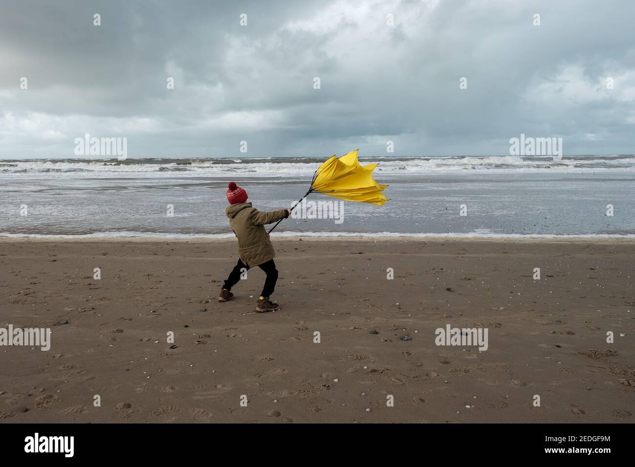 Struggling with wind hi-res stock photography and images - Alamy