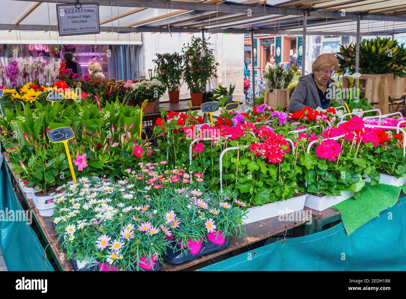 Paris, France - May 4, 2017: fresh flowers retail shop at Aligre Market in Paris Stock Photo