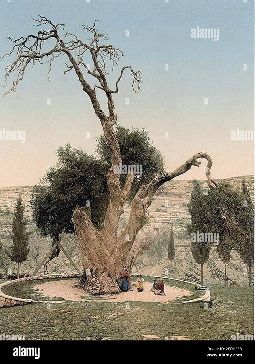 Mamre hi-res stock photography and images - Alamy