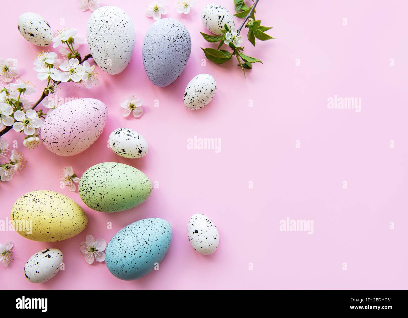 Colorful Easter eggs with spring blossom flowers over pink background ...