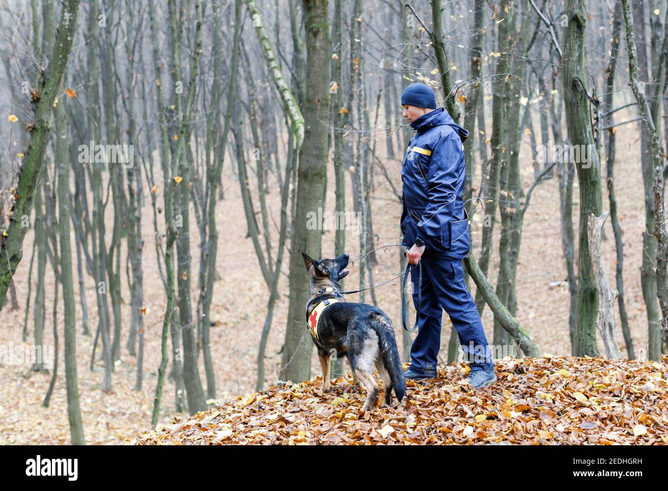 Animal rescuer with dog hi-res stock photography and images - Alamy