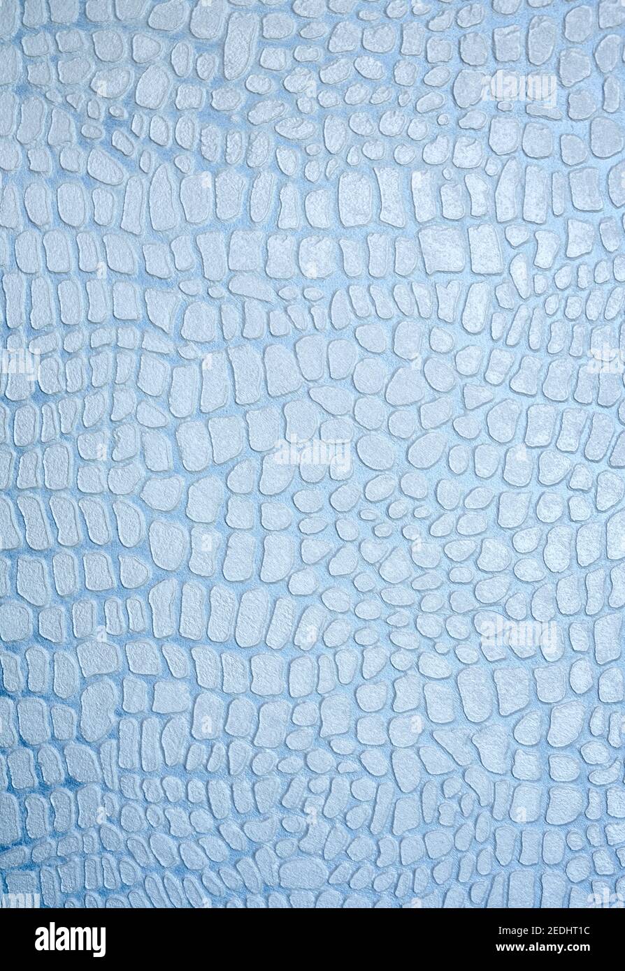 Surface decorating light blue textured plaster with the effect of reptile skin. Imitation of surface of crocodile skin on wall with decorative stucco. Stock Photo
