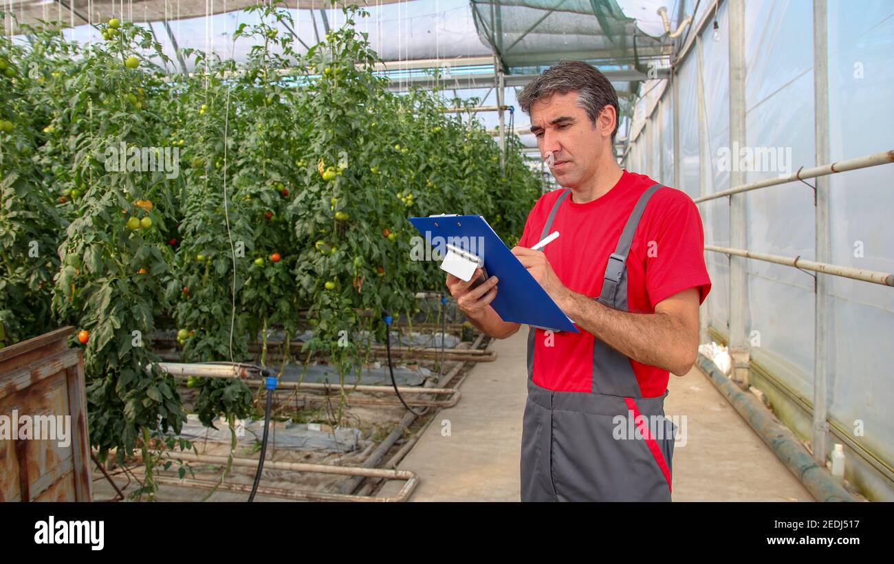Greenhouse management. Работник теплицы. Спецодежда для работников теплиц. Работник оранжереи. Работники теплицы фото.