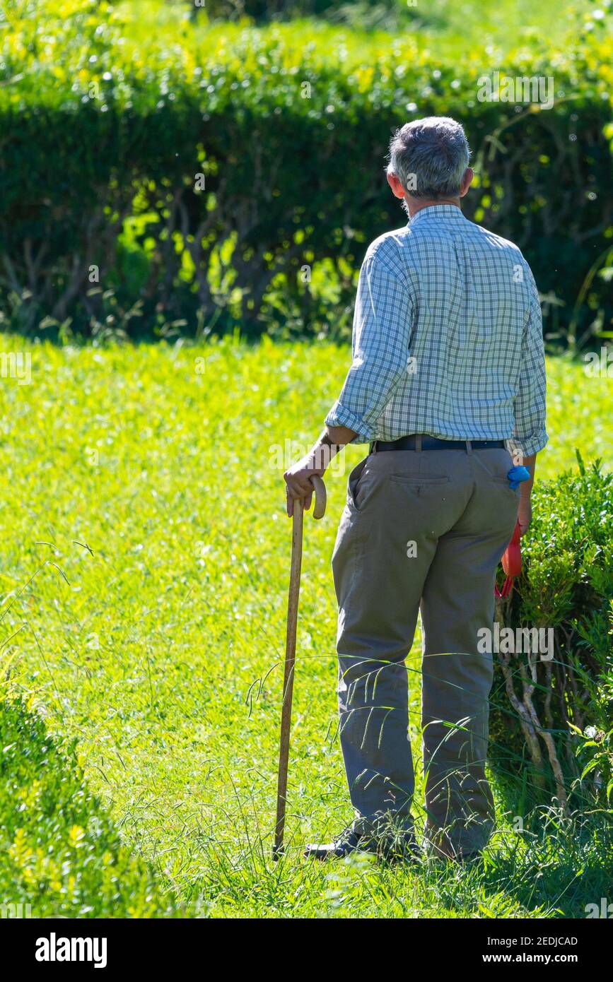 Old man with walking stick hi-res stock photography and images - Alamy