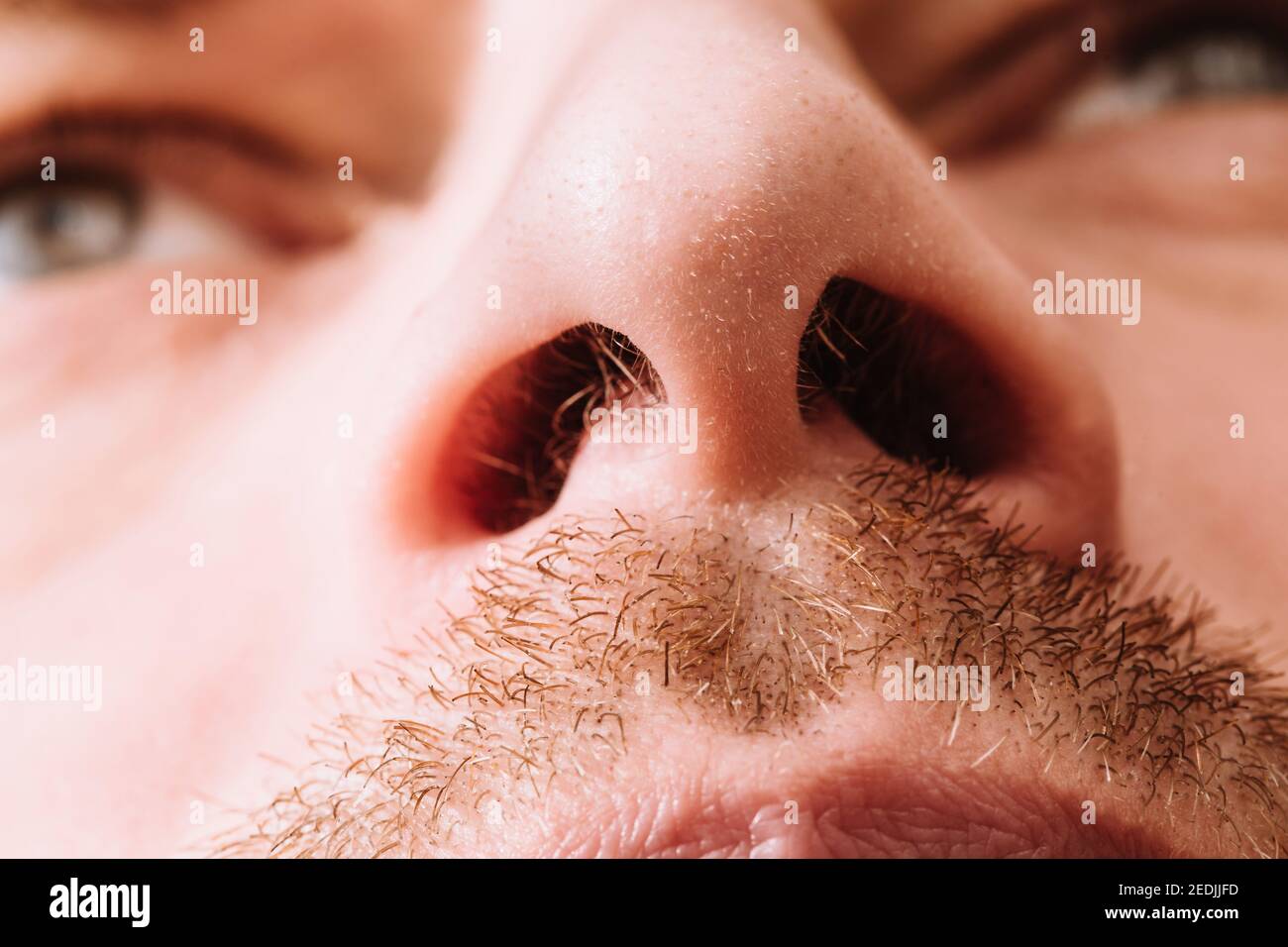 Details on the nose hi-res stock photography and images - Alamy