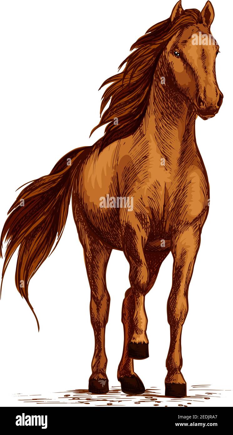 Stomping ground Stock Vector Images Alamy