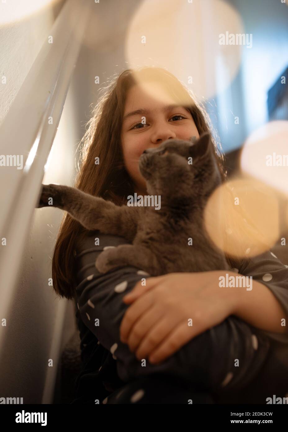Girls in grey pyjamas hugging a blue cat sitting on a on the stairs Stock Photo