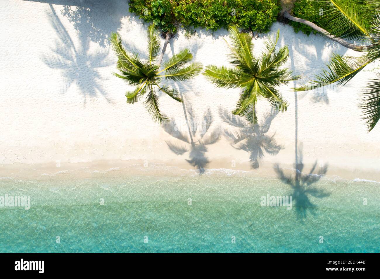 Tropical paradise drone shot hi-res stock photography and images - Alamy