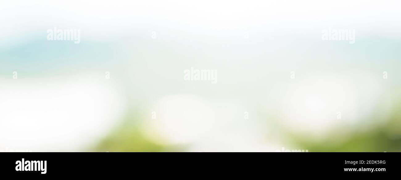 Horizontal panoramic web banner bokeh background with abstract blur white light blue and natural green shade Stock Photo