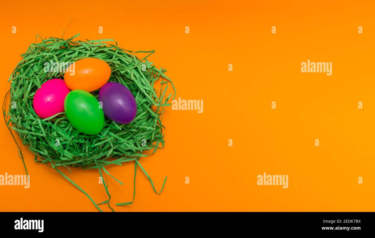 Four Colorful Easter Eggs Sitting in Green nest or Grass.Studio image. Stock Photo
