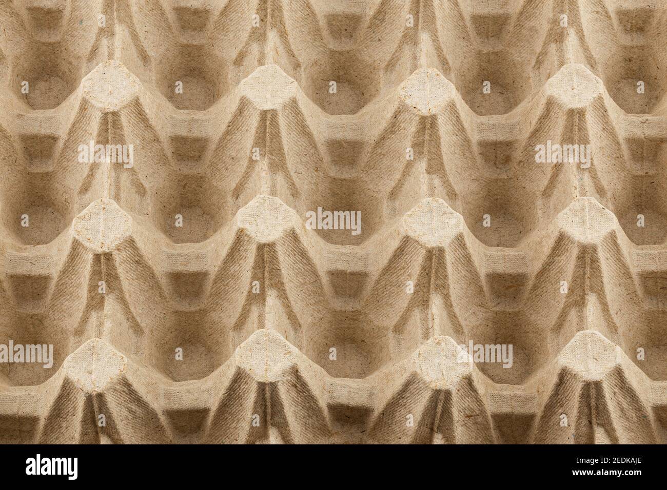empty formed cardboard egg tray - closeup with edge-to-edge sharpness. Stock Photo