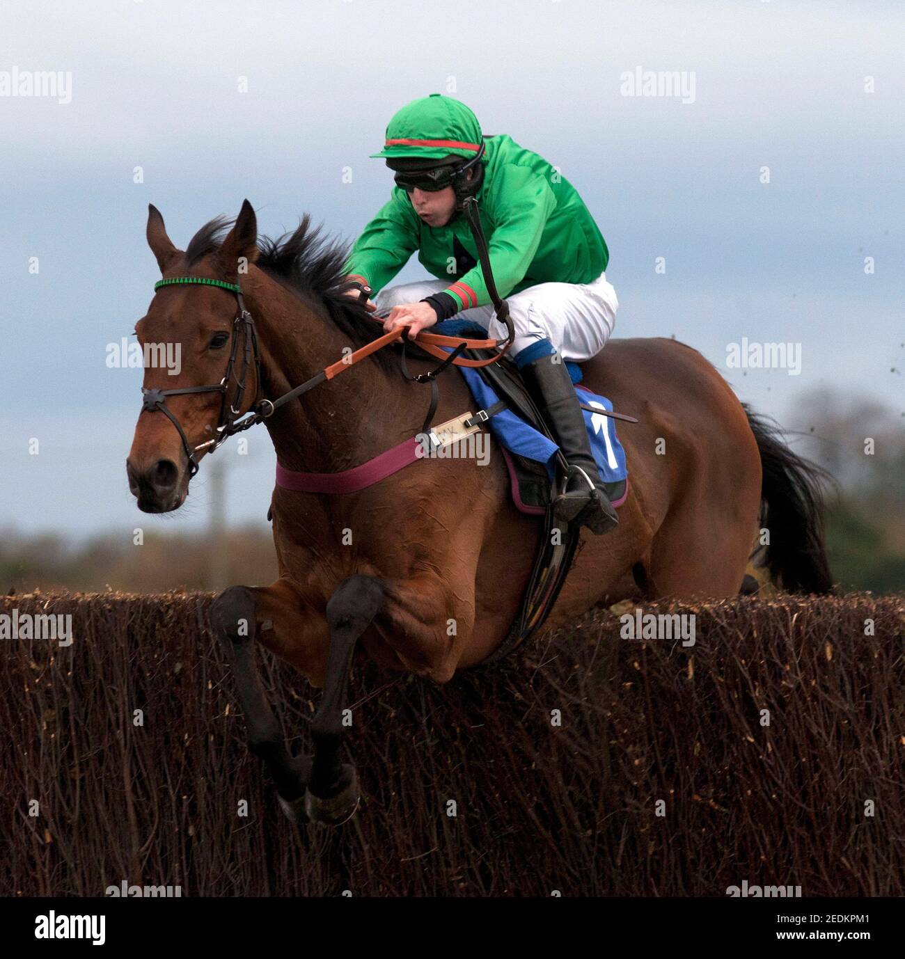 Horse racing wetherby racecourse hires stock photography and images