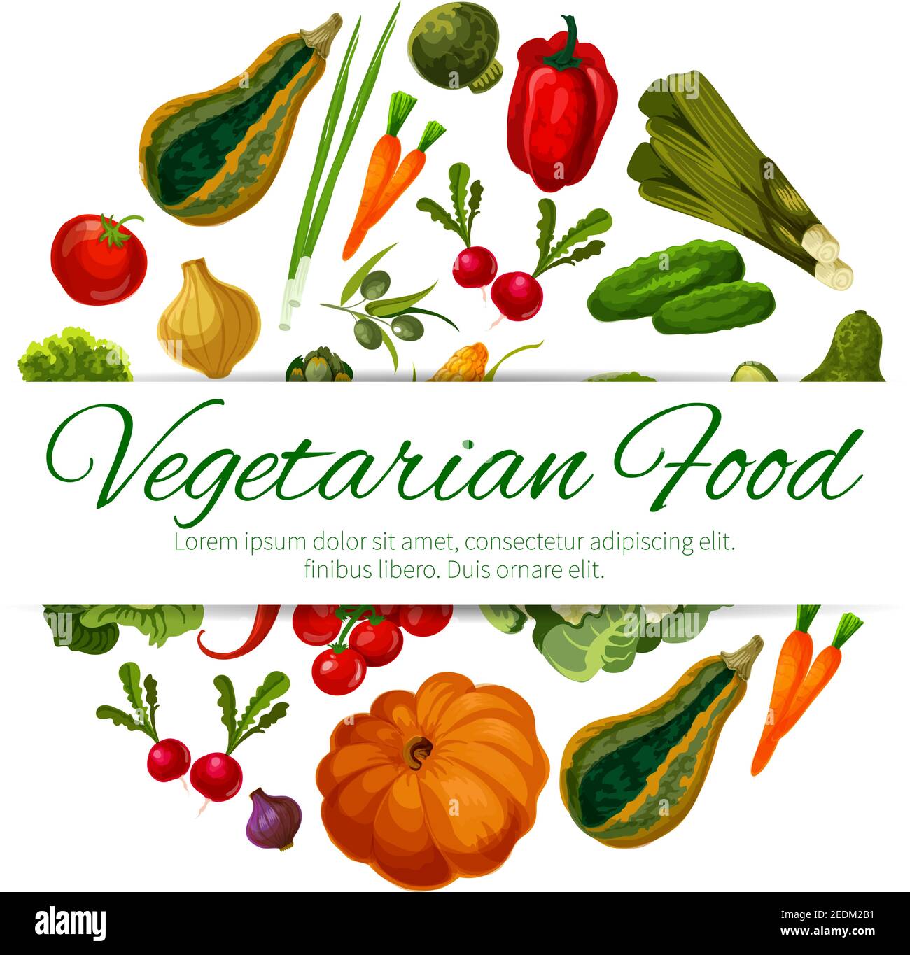 Veggies and vegetables poster. Vegetarian greens food of squash, onion and leek, pumpkin, corn and cabbage with carrot, bell and chili pepper, radish Stock Vector