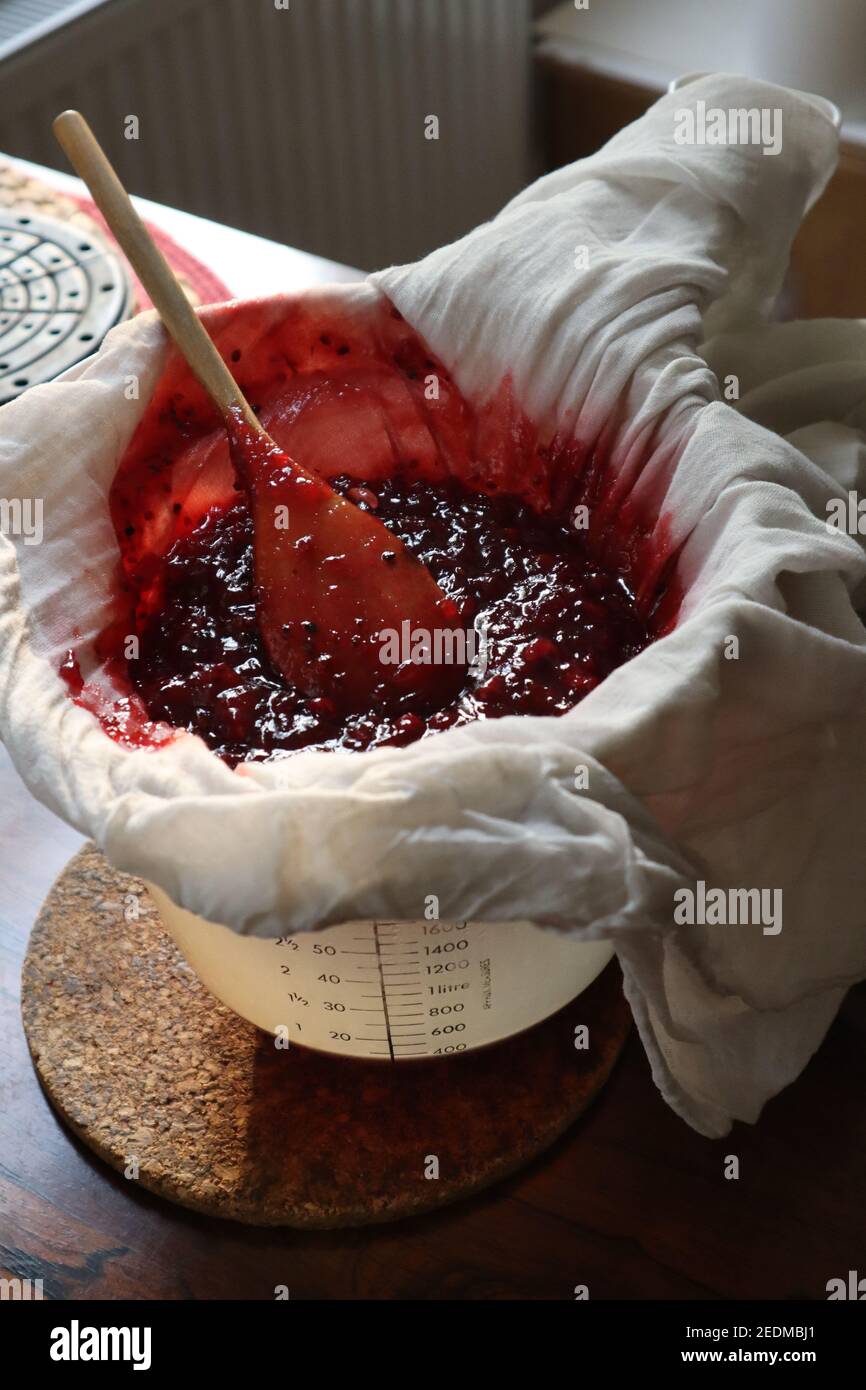 Making Home made redcurrant jelly; straining redcurrant berries through muslin cloth into bowl Stock Photo