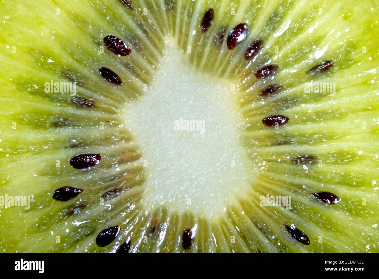Close up Macro Photo Detail of Vivid Kiwi Slice Stock Photo