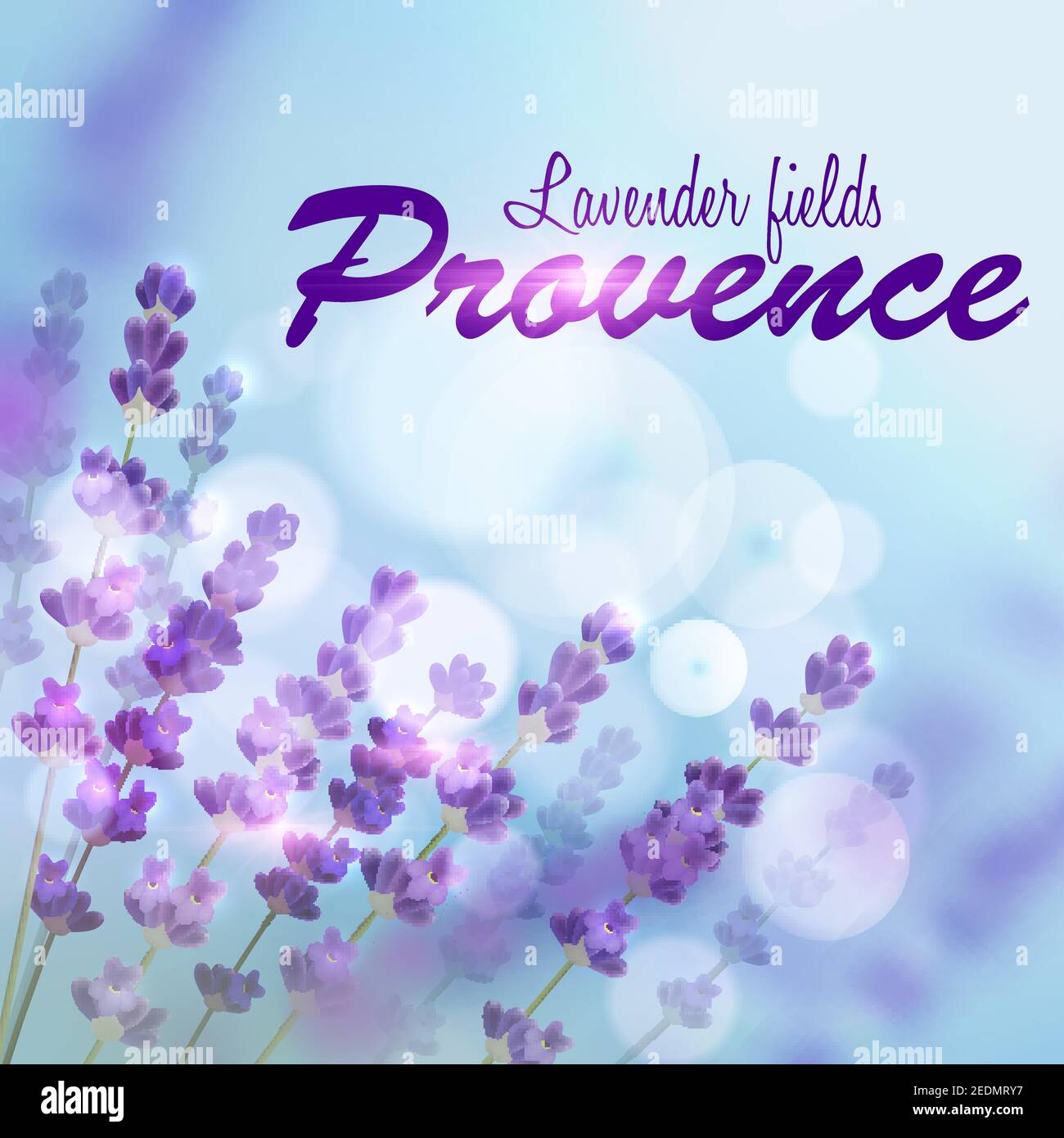 Lavender background for perfume, aroma therapy, soap, cosmetic, perfumery products design. Provence fields of blooming lavender on background of blue Stock Vector