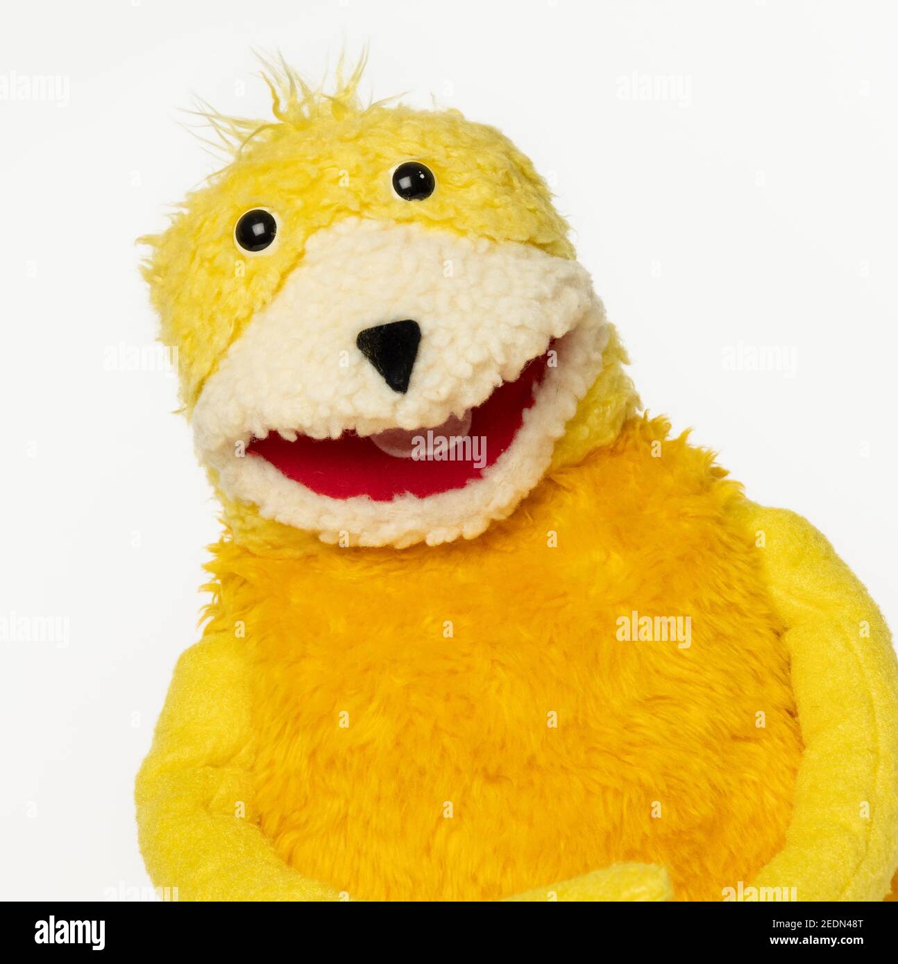 Isolated headshot of Flat Eric puppet character against a plain white  background Stock Photo - Alamy