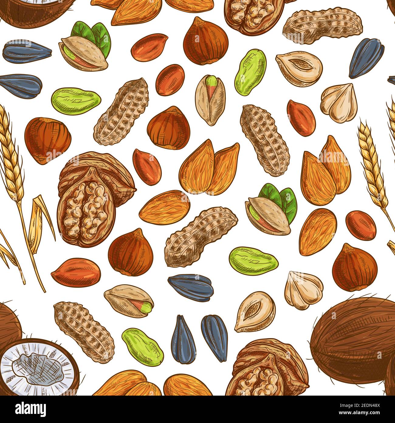 Nut, seed and cereal seamless pattern of peanut, almond, pistachio ...