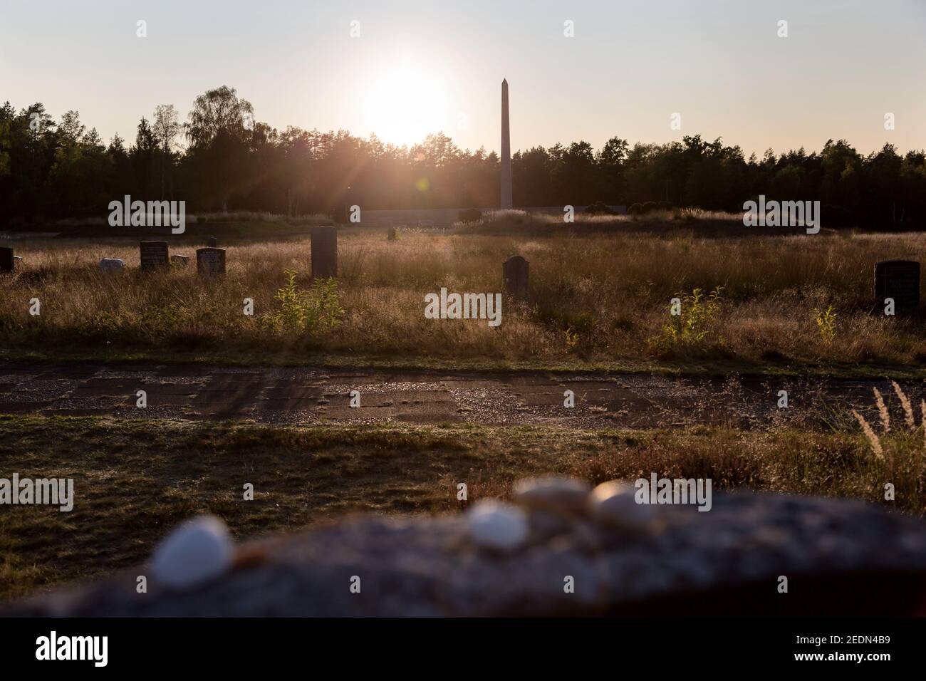 19.09.2020, Lohheide, Lower Saxony, Germany - Bergen-Belsen memorial, obelisk in the evening sun, in front of it mass graves with thousands of dead, a Stock Photo