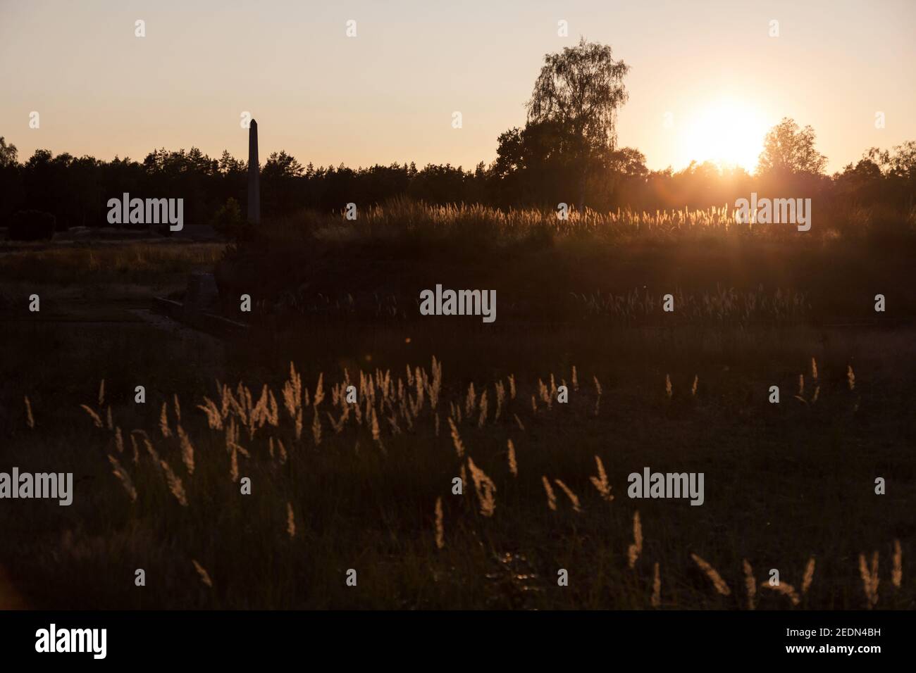 19.09.2020, Lohheide, Lower Saxony, Germany - Bergen-Belsen memorial, obelisk in the evening sun, in front of it mass graves with thousands of dead. I Stock Photo