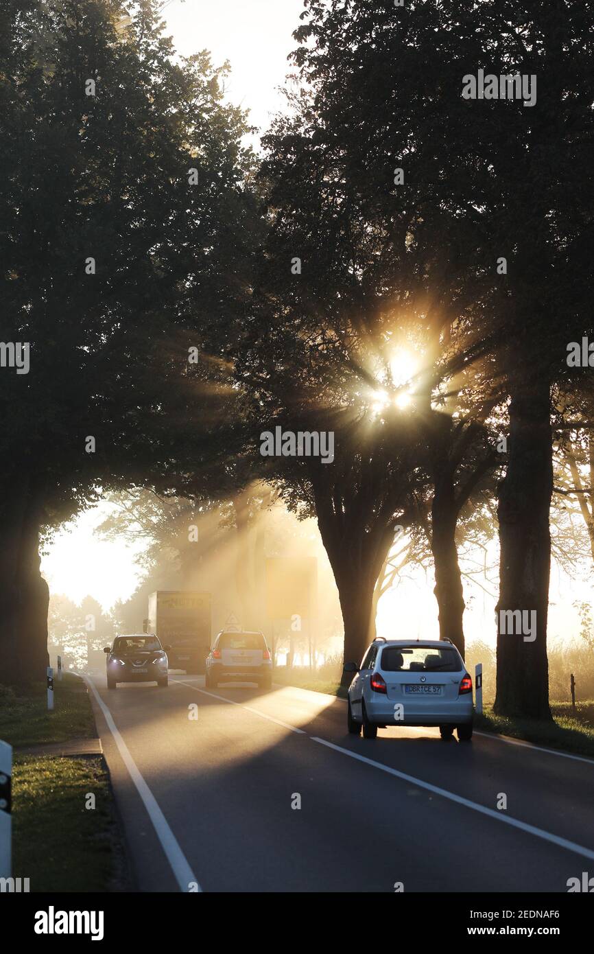 17.10.2020, Neu Heinde, Mecklenburg-Western Pomerania, Germany - Cars and trucks driving on a country road at sunrise.. 00S201017D525CAROEX.JPG [MODEL Stock Photo
