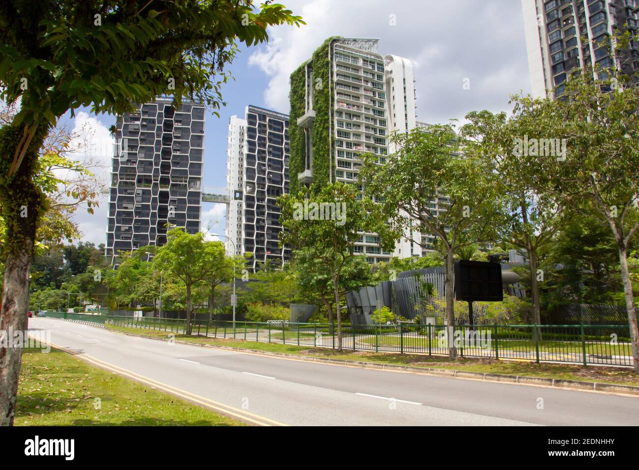 Street at Singapore with tall buildings in green grass and leaves Stock Photo