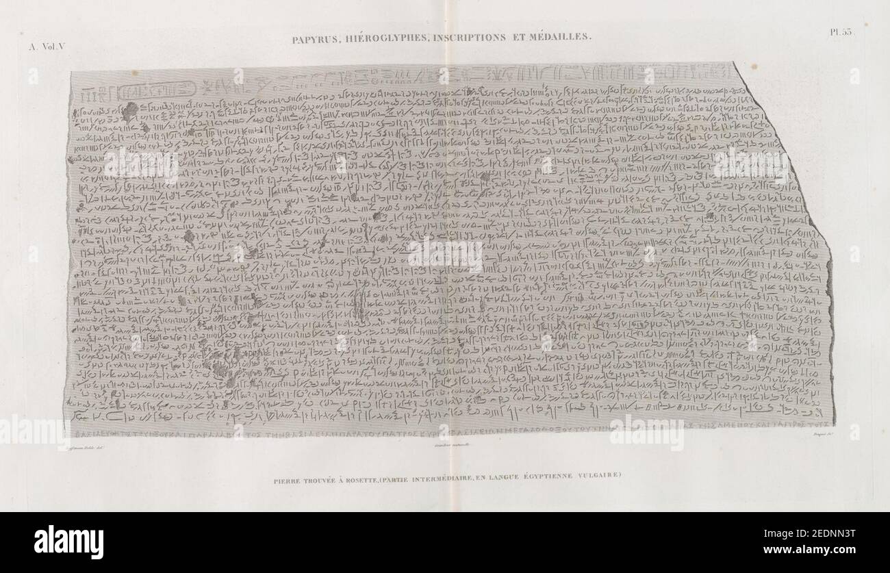 Vulgaire High Resolution Stock Photography And Images Alamy