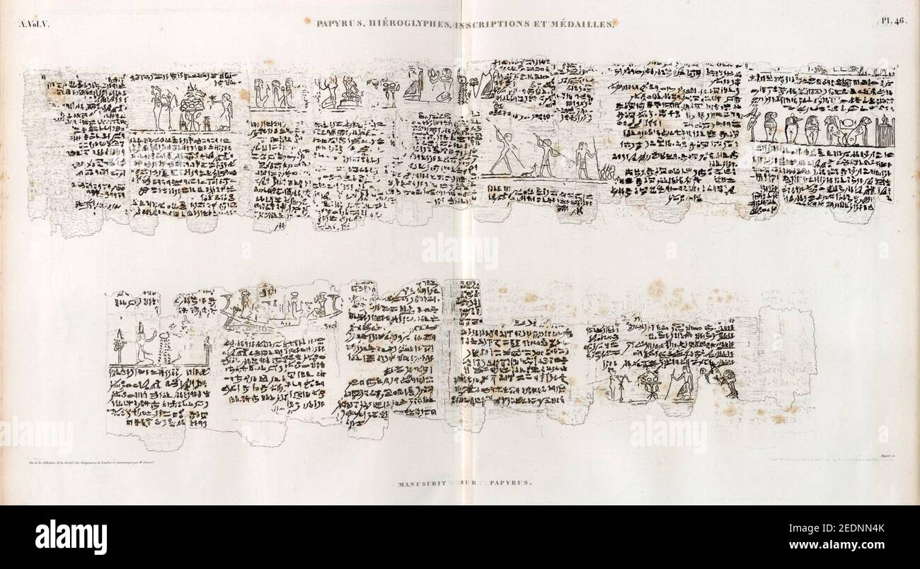 Papyrus, hiéroglyphes, inscriptions et médailles. Manuscrit sur papyrus Stock Photo