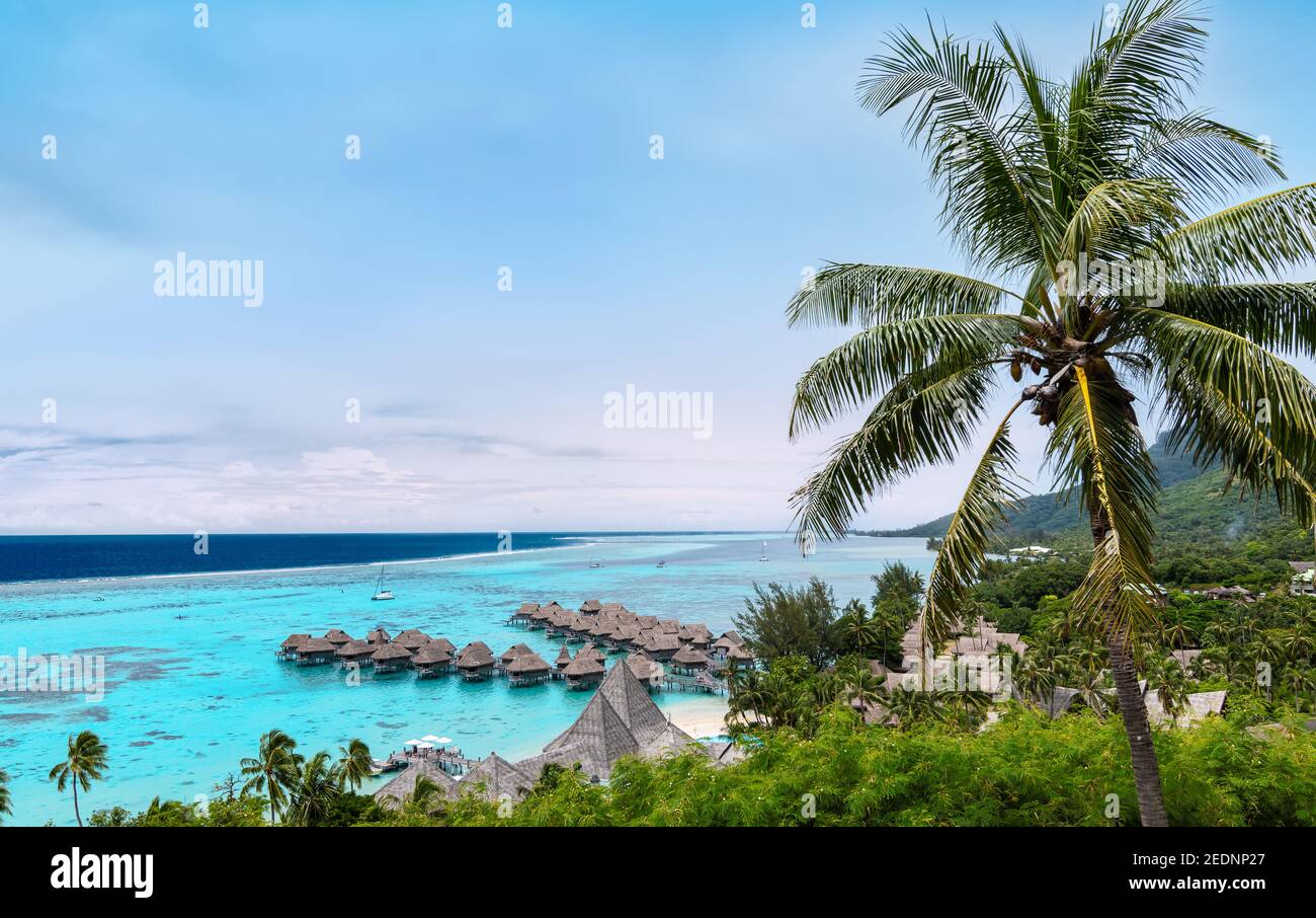 Tropical landscape with coconut palm tree at tropical luxury overwater bungalow vacation resort. Stock Photo