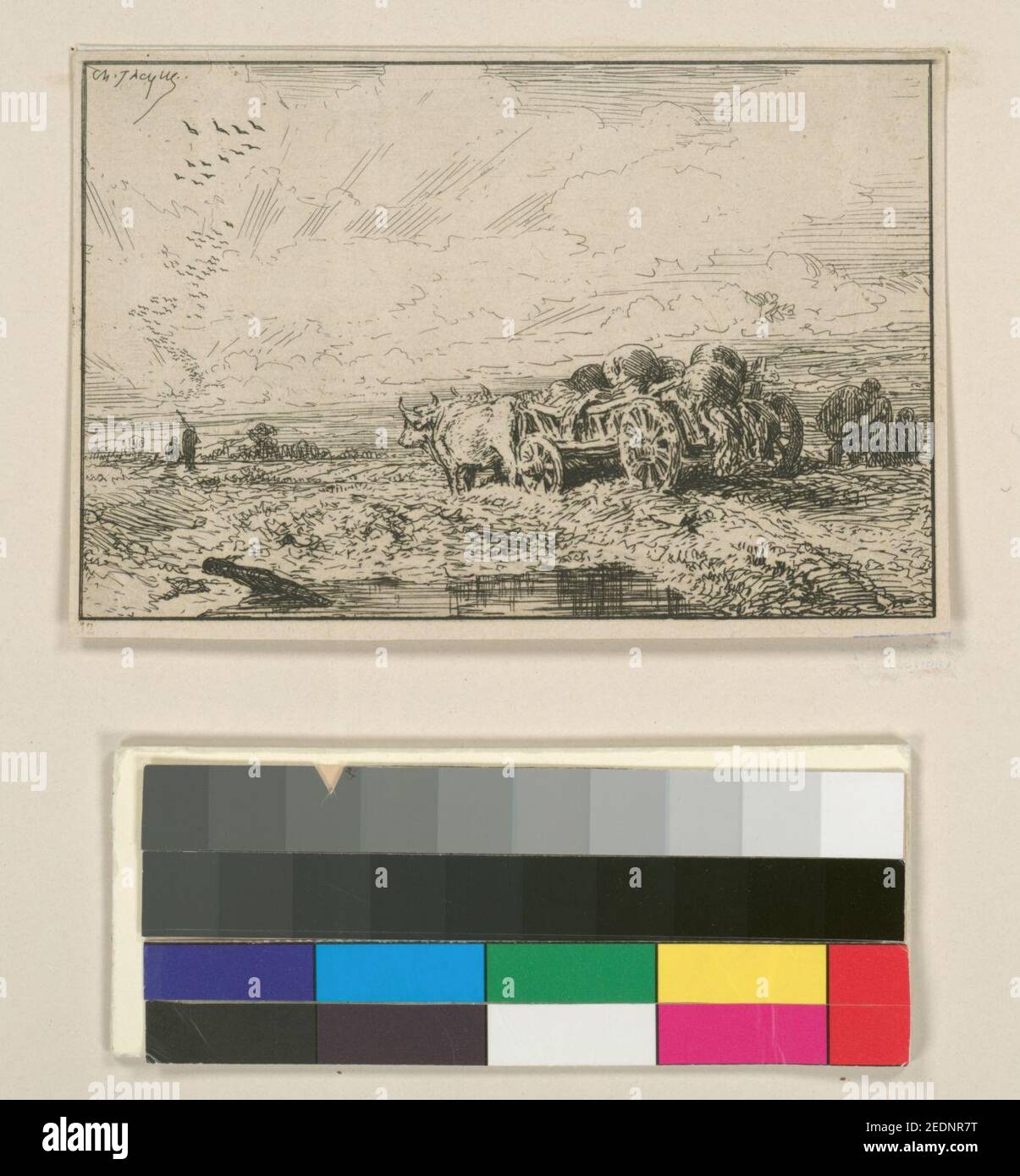 Paysage chariot attelé de boeufs Stock Photo Alamy