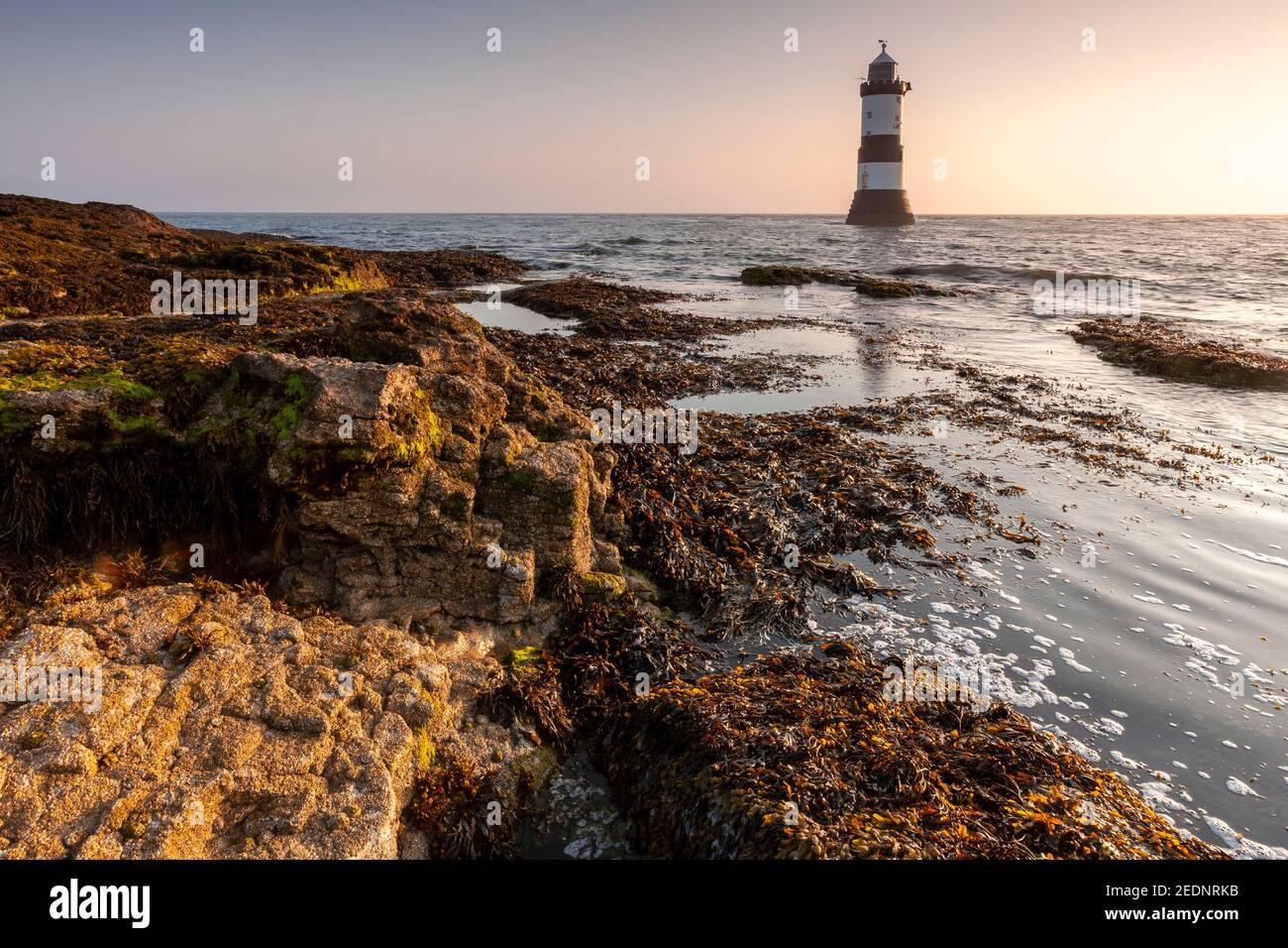 Penmon Point lighthouse at sunrise, Anglesey, North Wales Stock Photo