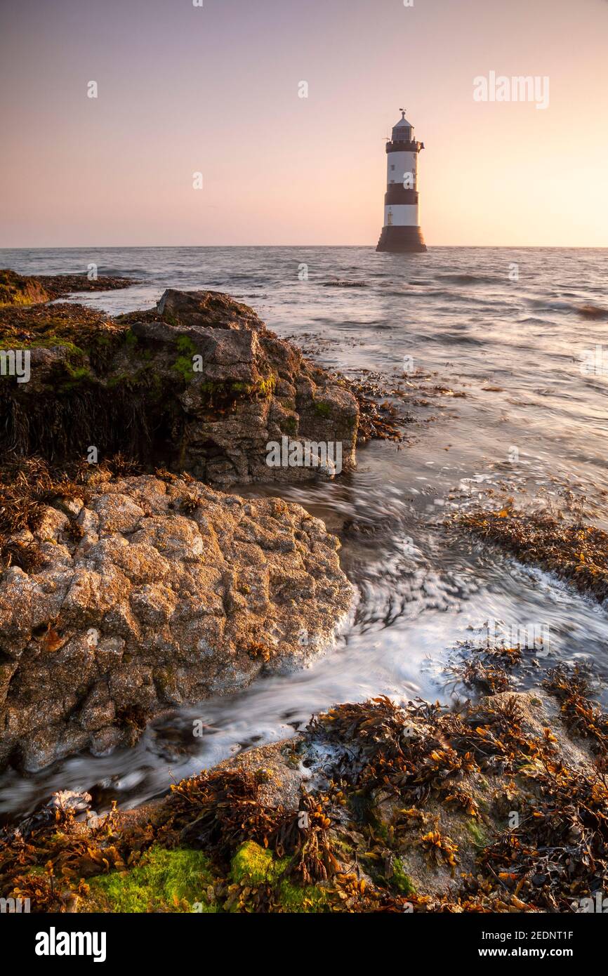 Penmon Point lighthouse at sunrise, Anglesey, North Wales Stock Photo