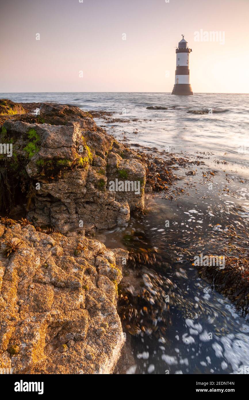 Penmon Point lighthouse at sunrise, Anglesey, North Wales Stock Photo