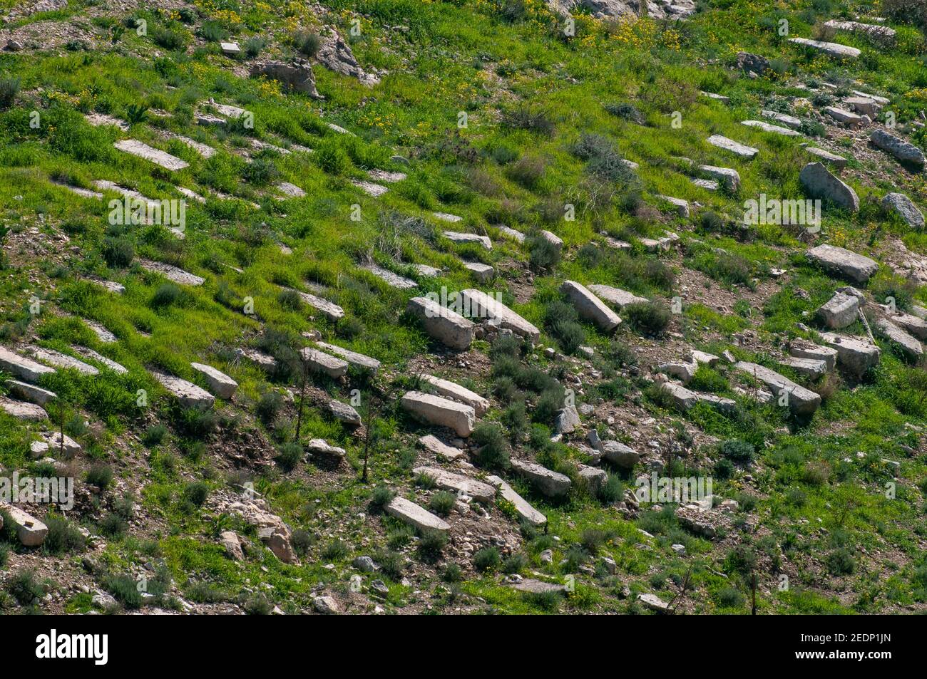 The Ancient Jewish Cemetery on Mount of Olives, Jerusalem Stock Photo