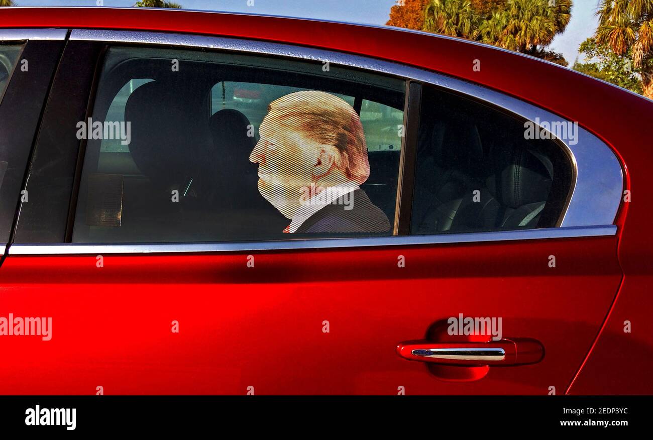 An unflattering profile photograph of former U.S. President Donald J. Trump appears in the window of the rear passenger seat in a red four-door car in Florida, USA. The image is a life-size vinyl decal pressed to the outside of the glass window that was used to grab the attention of pedestrians or people in passing cars. Such stickers with life-size head-and-shoulder portraits of Trump usually were displayed to show support for the controversial politician. He was disgraced by being impeached twice during his single four-year term as the 45th American president from January 20, 2017-2021. Stock Photo