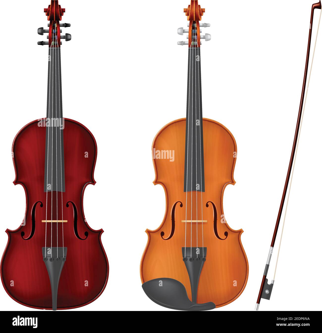 Violin color 2024