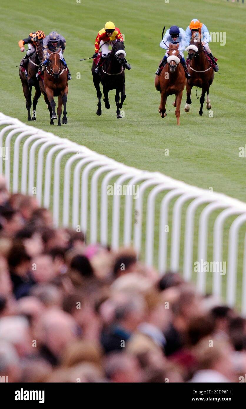 Horse Racing Haydock Races High Resolution Stock Photography And Images Alamy