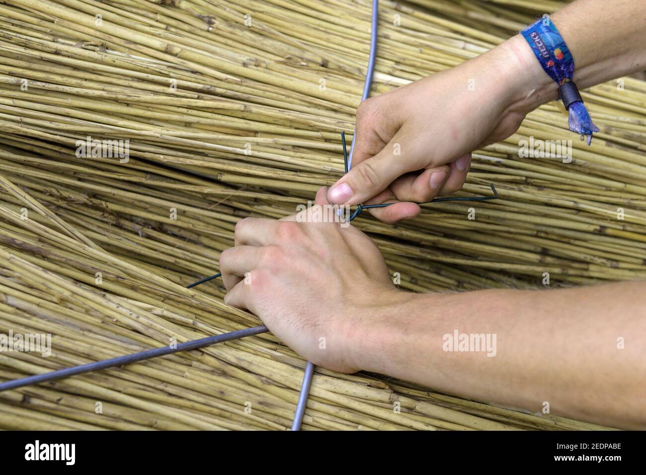 roofer tying thatch for a thatched roof, Germany Stock Photo