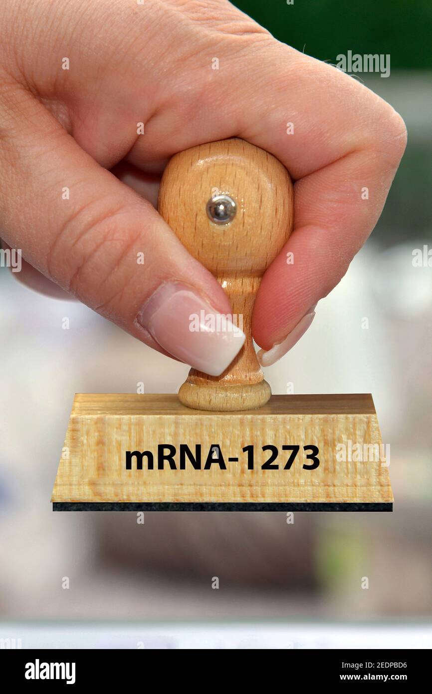 woman's hand with stamp lettering mRNA-1273, vaccine of company Moderna, Germany Stock Photo