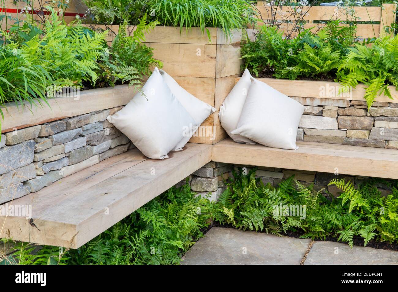 A wooden bench with cushions in a corner seating area and dry stone wall raised beds with ferns and Hosta plants growing England GB UK Stock Photo