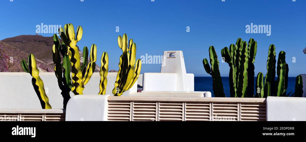 balustrades and cactuses in San Jose, Spain, Andalusia Stock Photo
