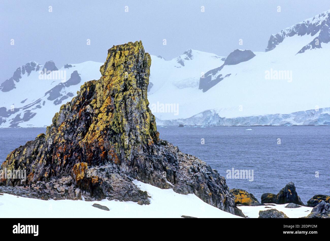 Multi colored rock with moss on it and snowy mountains in the background on Half Moon Island in Antarctica Stock Photo