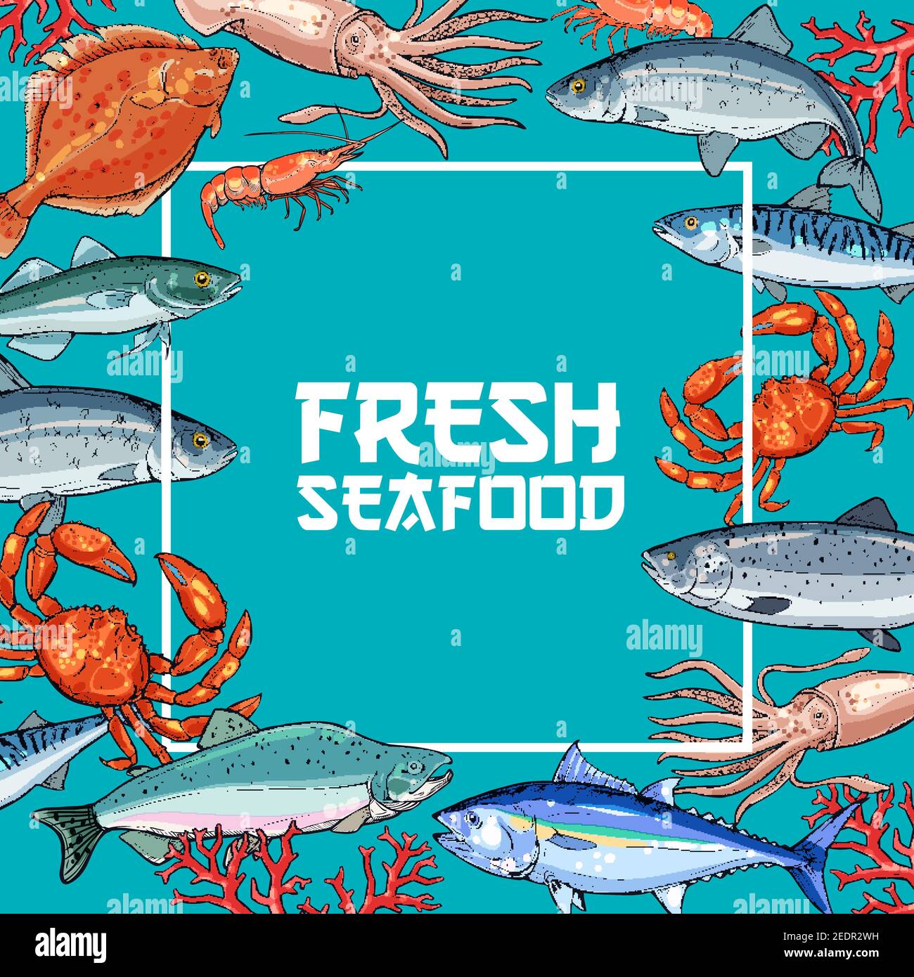 Fresh seafood and fish poster. Crab, salmon, shrimp, tuna, squid
