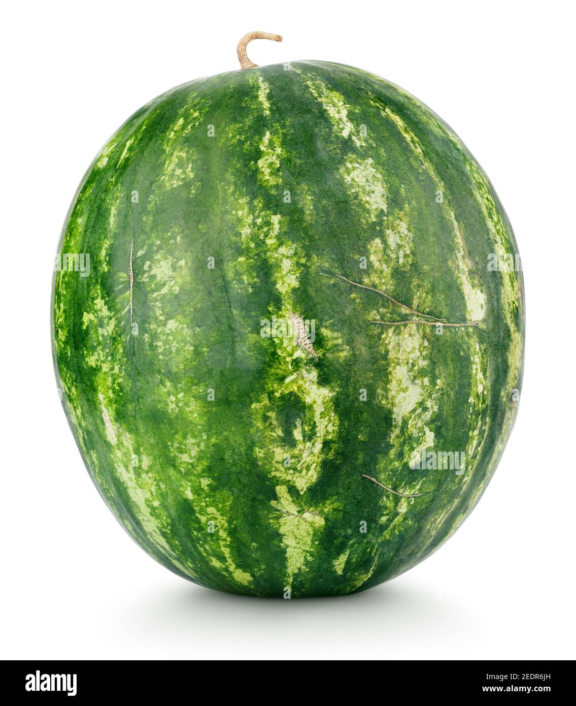 Single ripe watermelon isolated on white background with clipping path Stock Photo