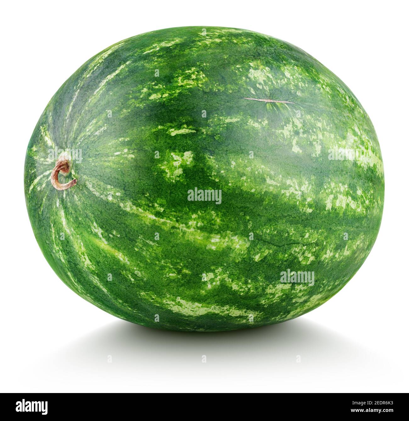 Single whole watermelon isolated on white background with clipping path Stock Photo