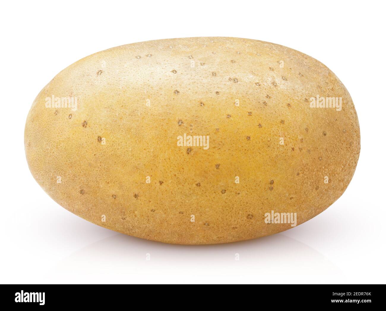 Closeup of single potato isolated on white background with clipping ...