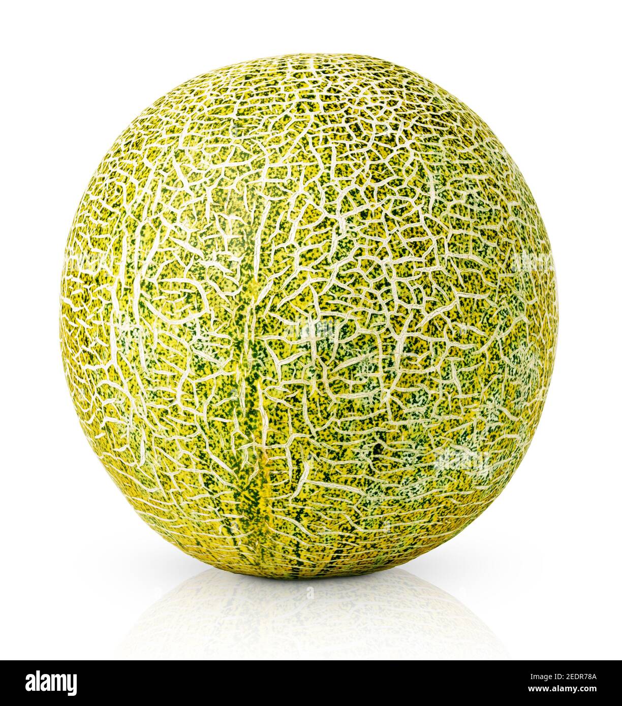 Single ripe green yellow melon isolated on white background with clipping path Stock Photo