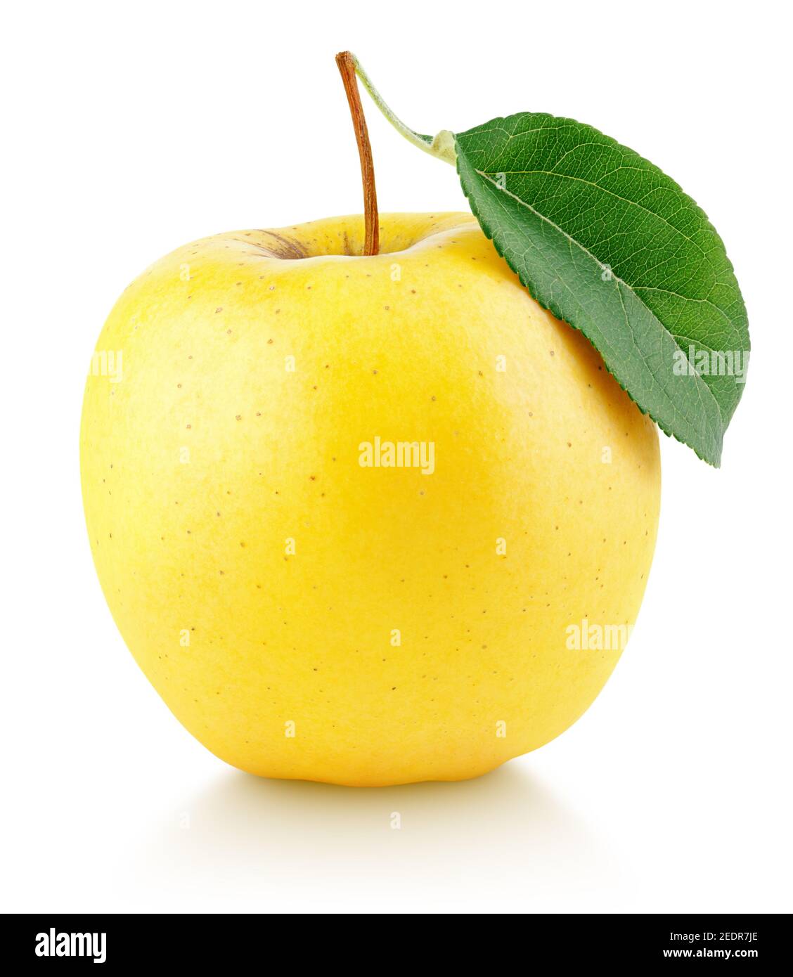 One ripe yellow apple fruit with green leaf isolated on white