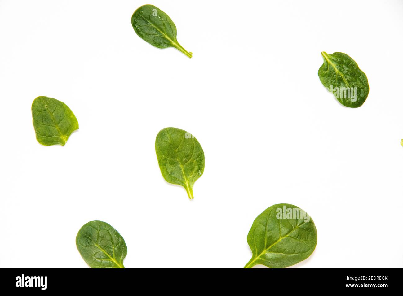 White background with many green spinach leaves Stock Photo - Alamy
